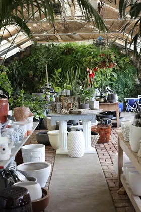 Ah Sam Floral Co, business photo 4