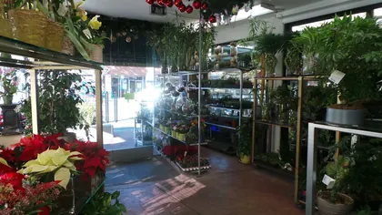 Edmond's Plaza Florist, Inc., business photo 4