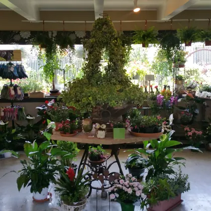 Green Fashion Florist, business photo 2