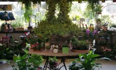 Green Fashion Florist, business photo 1