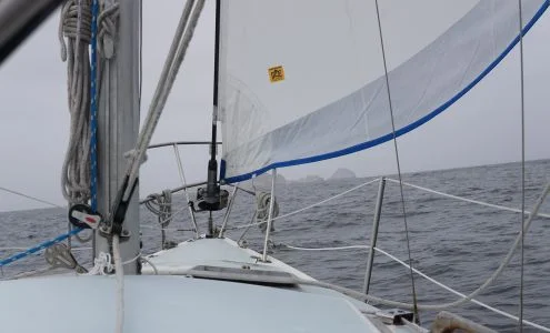 Leading Edge Sail Makers business photo