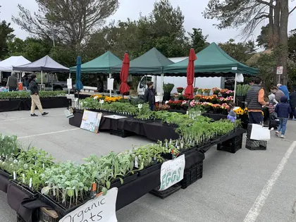 San Mateo Farmers' Market, business photo 3