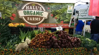 San Mateo Farmers' Market, business photo 4