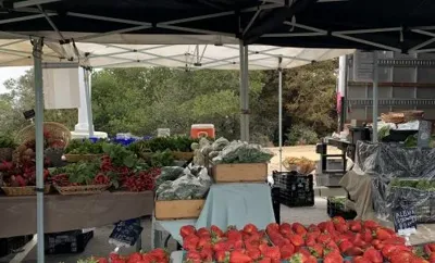 San Mateo Farmers' Market, business photo 1