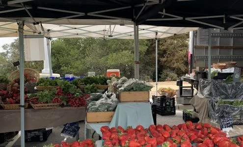 San Mateo Farmers' Market business photo