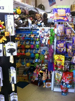 Togs For Dogs & Cats Too, business photo 2
